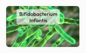Bifidobacterium Infantis