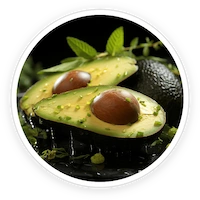 LipoSlend Acetyl L-Carnitine